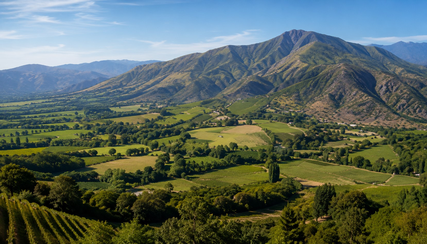 Quillota